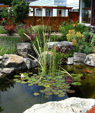 ponds-water-gardens